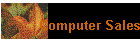 Computer Sales